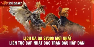 Lịch Đá Gà SV388 Mới Nhất – Cập Nhật Các Trận Đấu Hấp Dẫn Lịch Đá Gà SV388 Mới Nhất – Liên Tục Cập Nhật Các Trận Đấu Hấp Dẫn
