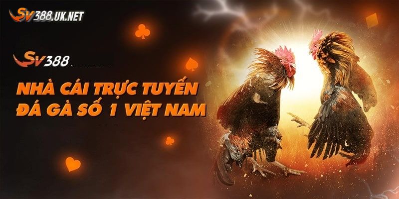Cập Nhật Link SV388 Mới Nhất 2024 Không Lo Bị Chặn Ưu thế khi vào SV388 mới nhất