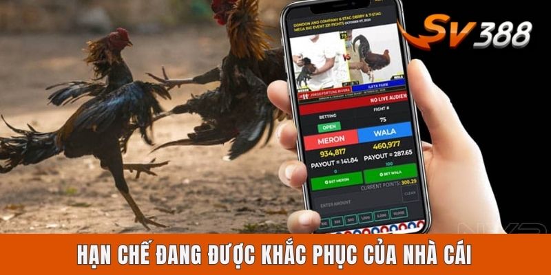 Có Nên Chơi Sv388 Không? Góc Nhìn Chuyên Sâu Cho Anh Em  Hạn chế đang được khắc phục của nhà cái
