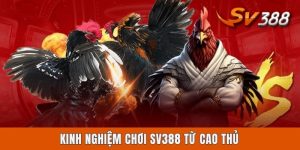 Kinh Nghiệm Chơi Sv388 Từ Cao Thủ Với 4 Hình Thức Phổ Biến Kinh Nghiệm Chơi Sv388 Từ Cao Thủ Với 4 Hình Thức Phổ Biến