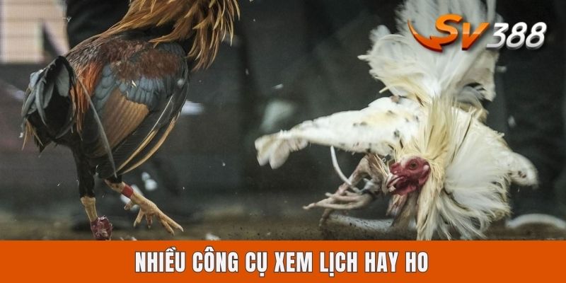 Lịch Thi Đấu Đá Gà Sv388 Hôm Nay | Tra Cứu Tin Mới Nhất 2025 Nhiều công cụ xem lịch hay ho